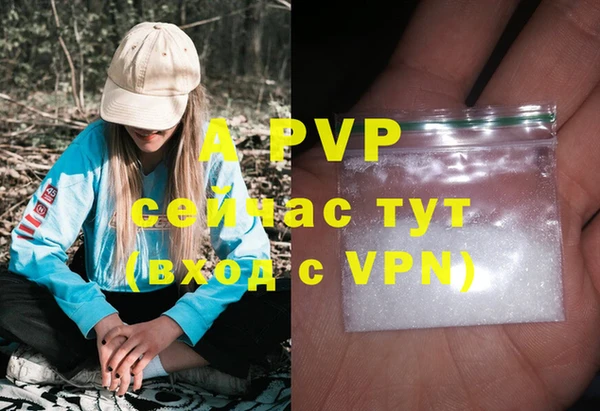 крисы Армянск