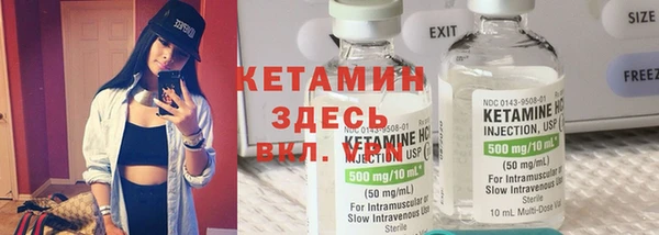 крисы Армянск