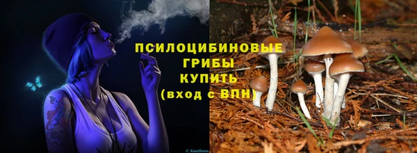 ПСИЛОЦИБИНОВЫЕ ГРИБЫ Аркадак