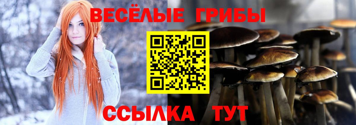 Галлюциногенные грибы Cubensis  Галлюциногенные грибы Magic Shrooms  Сибай  Вход с VPN 